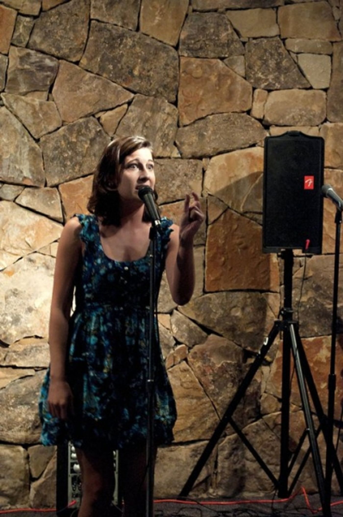 Photo Flash: Sneak Peek of WaterTower Theatre's HOMEMADE FUSION  Image