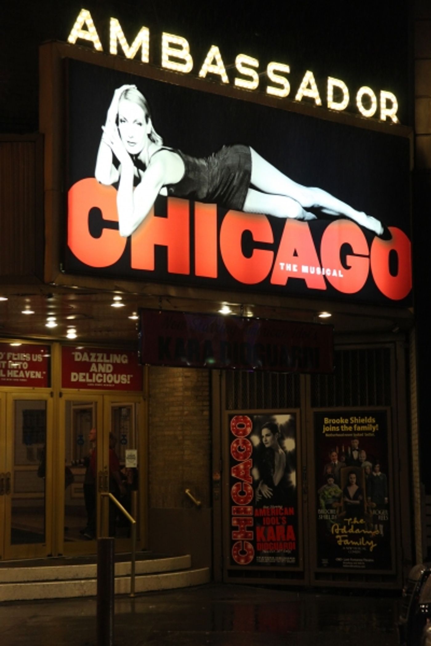 Photo Coverage: Kara DioGuardi Makes Broadway Debut as 'Roxie' in CHICAGO!  Image