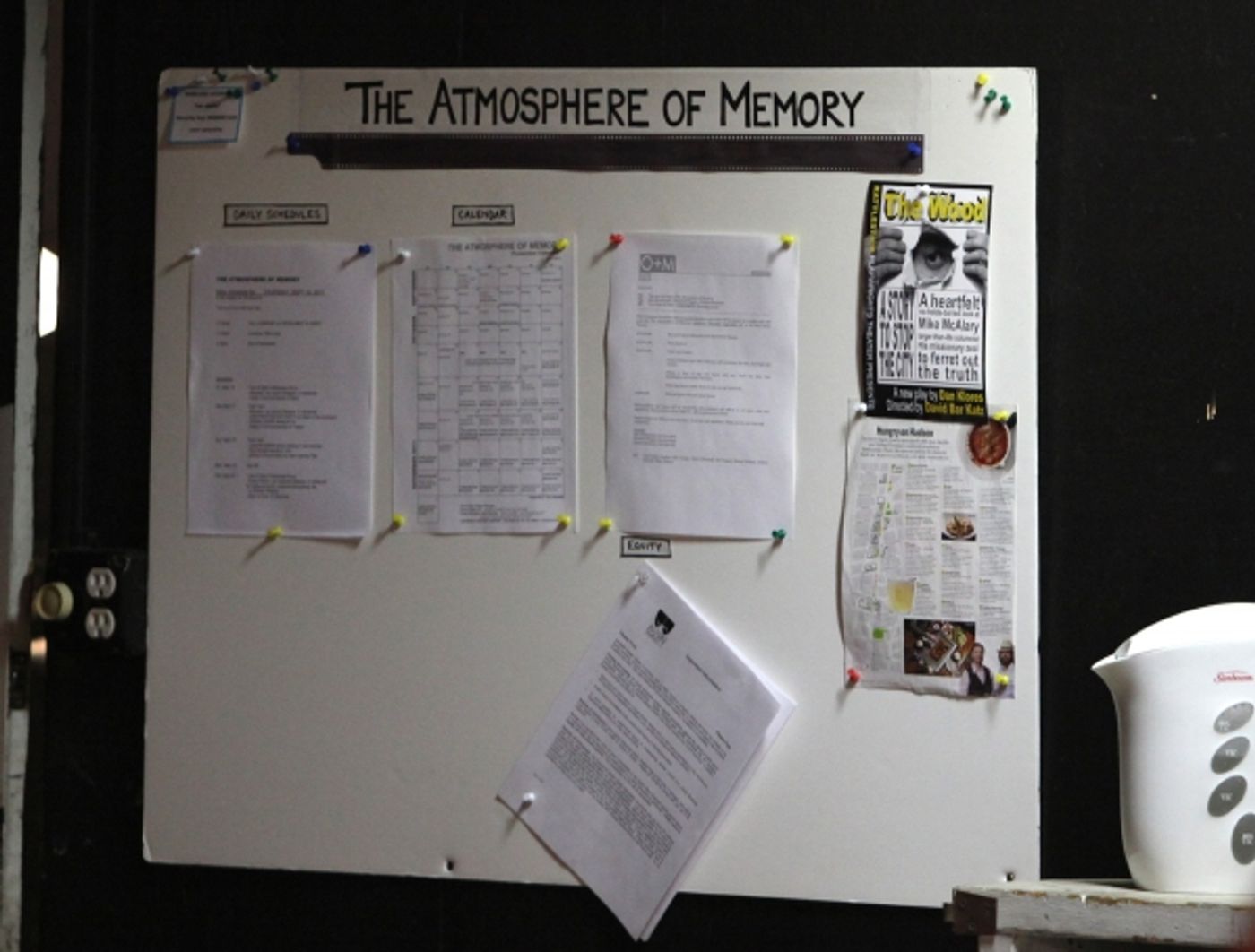 Photo Coverage: Meet the Cast of THE ATMOSPHERE OF MEMORY!  Image
