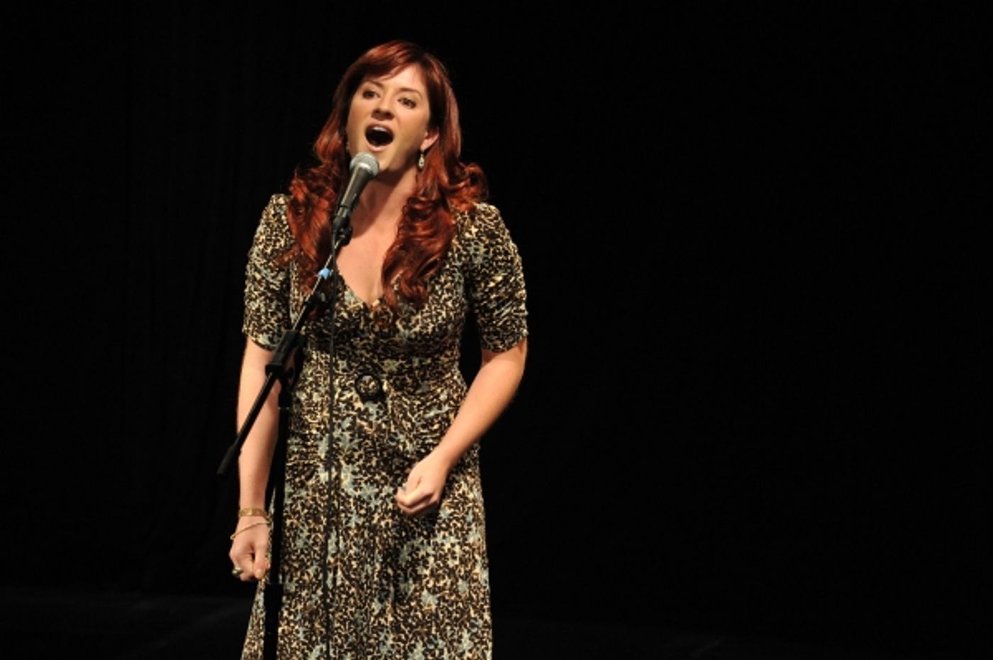 Photo Flash: CONCERT FOR VICTOR: A BENEFIT in Pasadena  Image