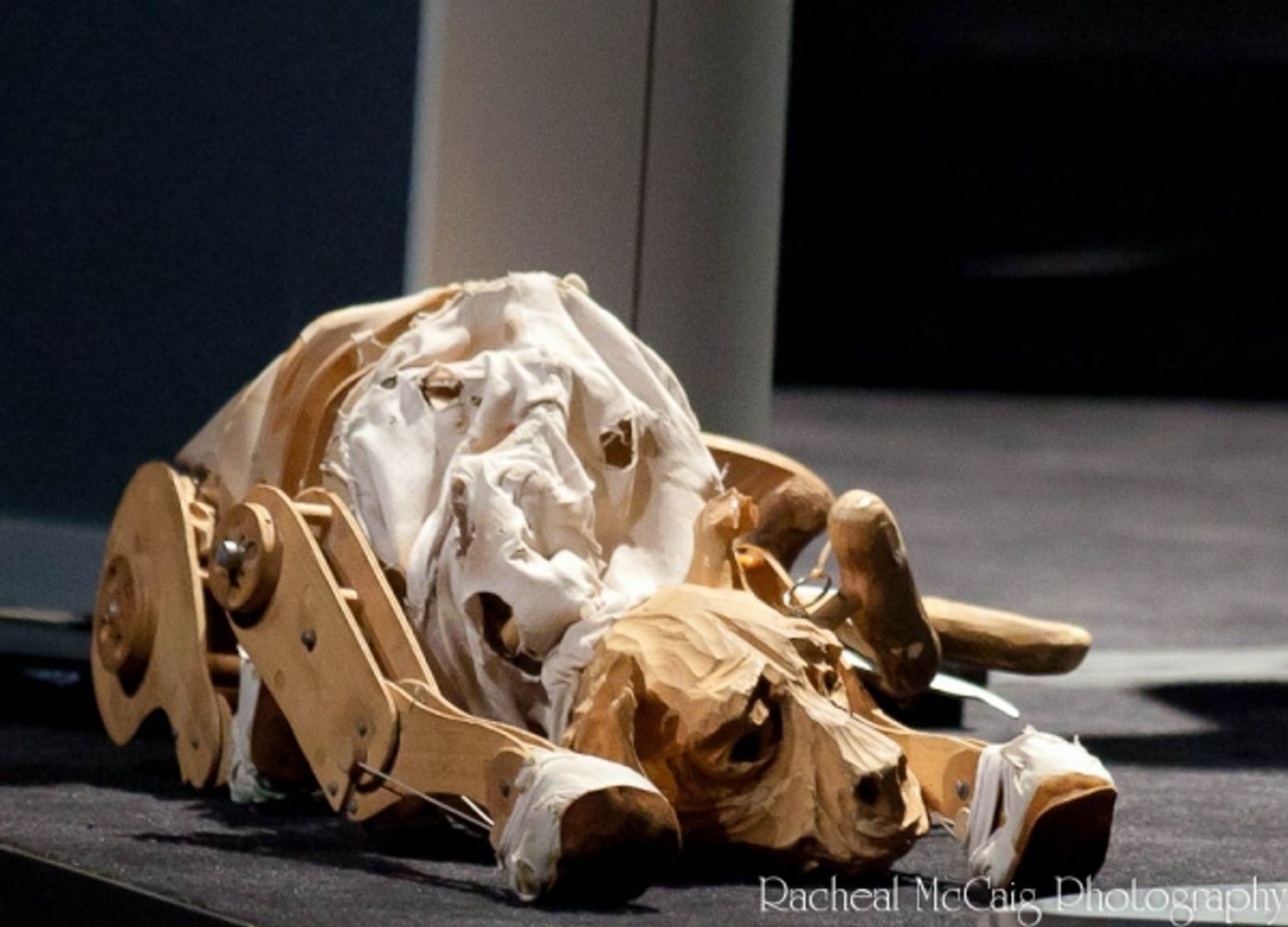 Photo Coverage: First Look at War Horse in Toronto  Image