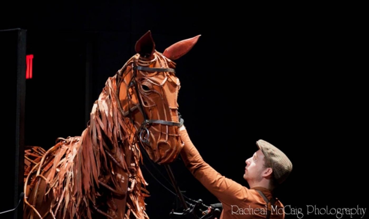 Photo Coverage: First Look at War Horse in Toronto  Image