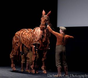 The 'star' of War Horse - Joey @ BroadwayWorld The 'star' of War Horse - Joey Photo