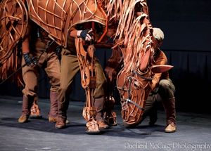 Joey @ BroadwayWorld Joey Photo