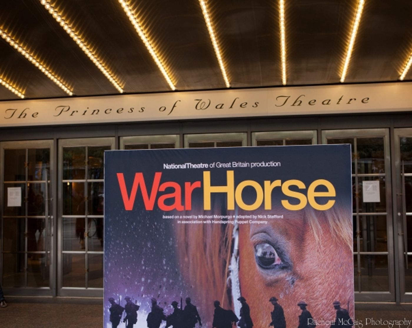 Photo Coverage: WAR HORSE Fan Ticket Giveaway in Toronto  Image