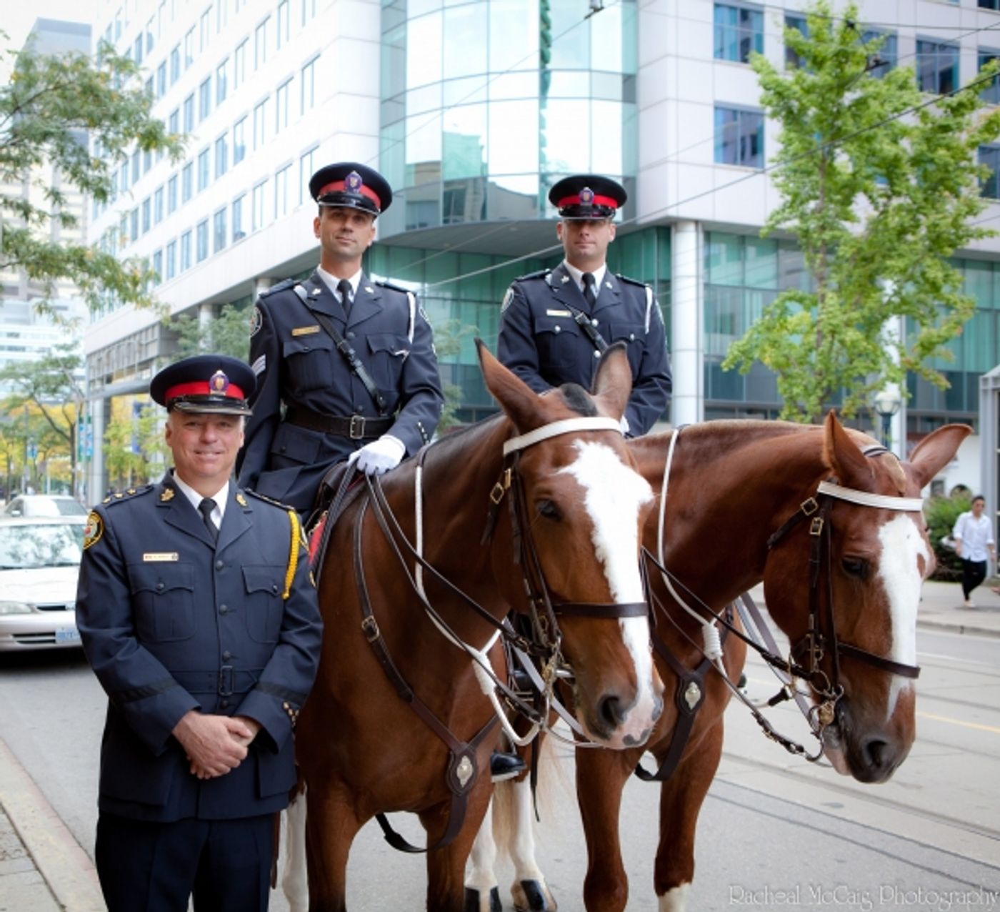 Photo Coverage: WAR HORSE Fan Ticket Giveaway in Toronto  Image