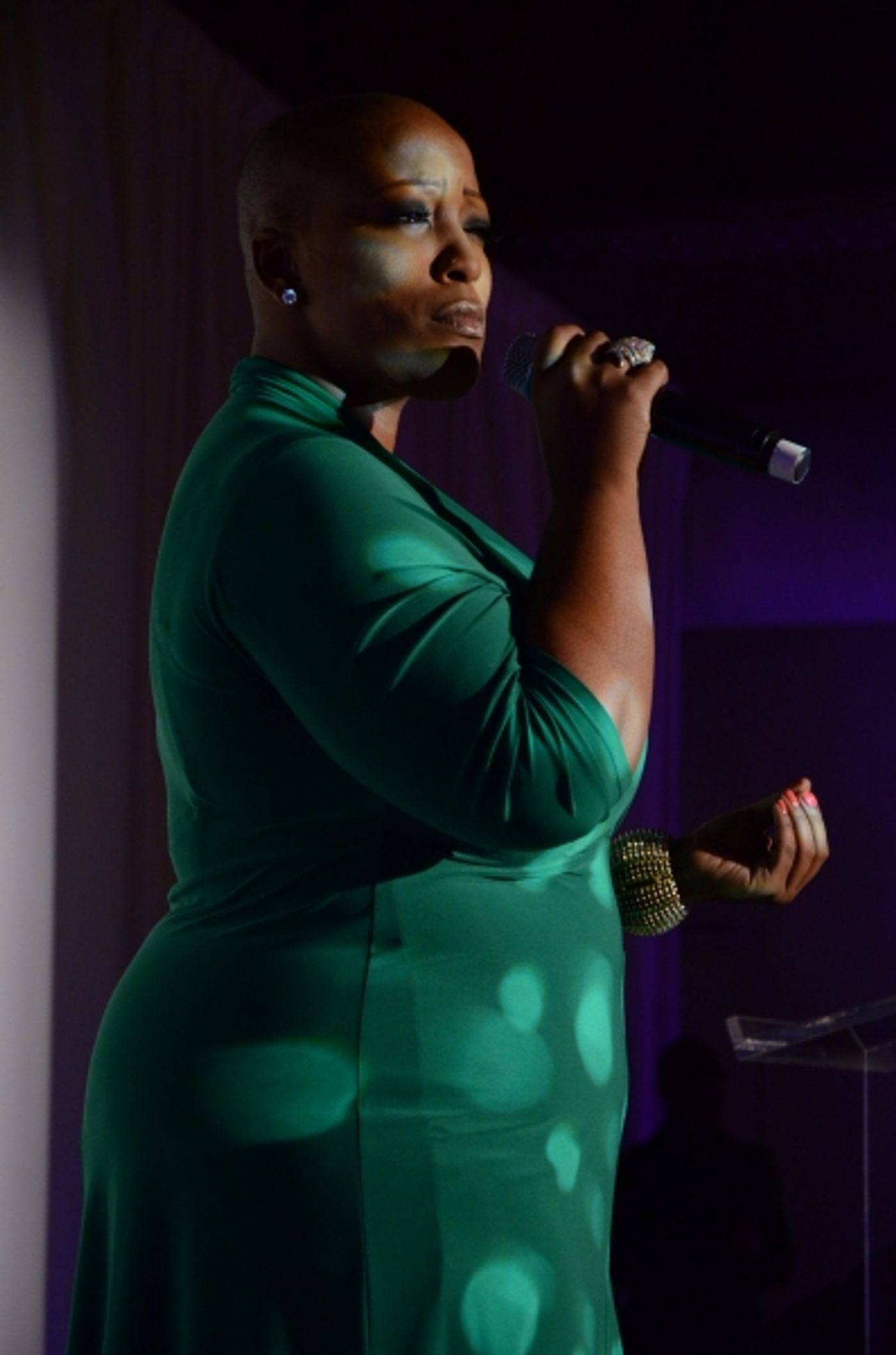 Photo Flash: Christine Ebersole, Frenchie Davis, et al. at GLAAD Amplifier Awards  Image