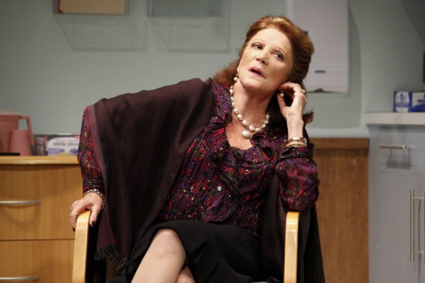 Photo Flash: First Look at THE LYONS at Vineyard Theatre  Image