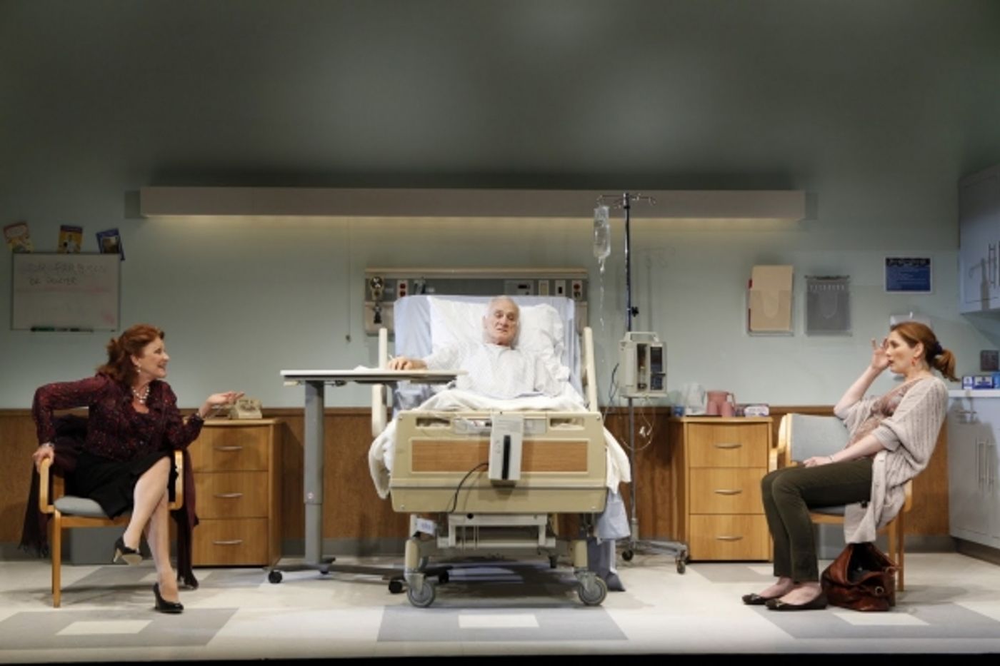 Photo Flash: First Look at THE LYONS at Vineyard Theatre  Image