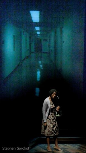 Aisha Hinds @ BroadwayWorld Aisha Hinds Photo