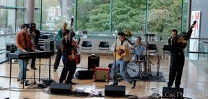 The cast of Million Dollar Quartet Photo