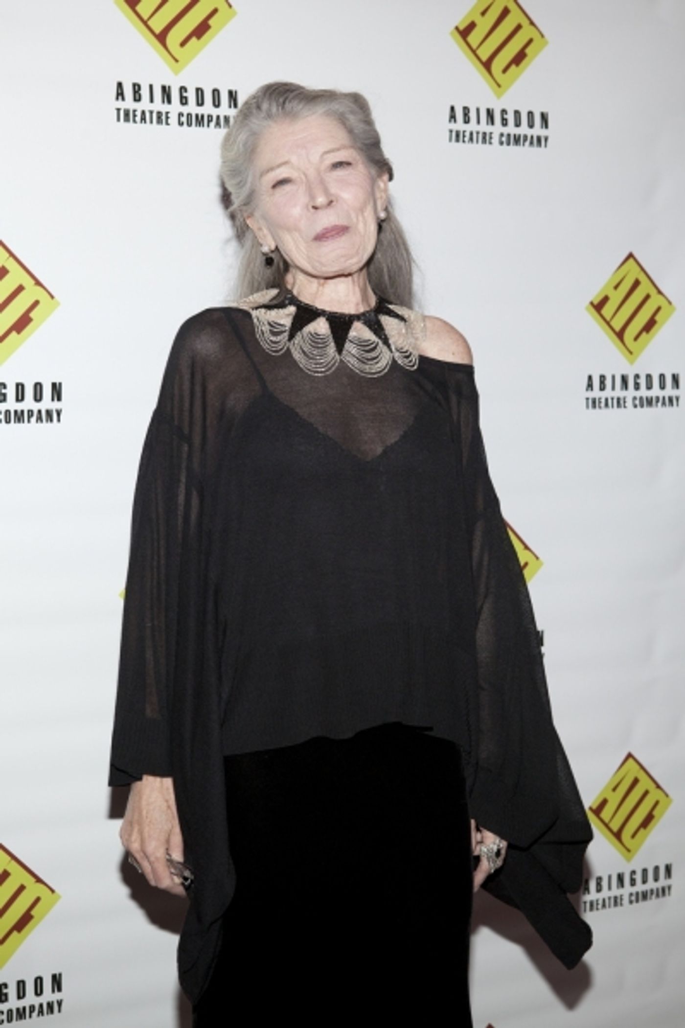 Photo Coverage: Andrew Rannells, Alison Fraser, et al. at Abingdon Theatre Company's 2011 Gala  Image