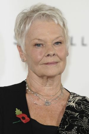 Dame Judi Dench
@ BroadwayWorld Dame Judi Dench
Photo