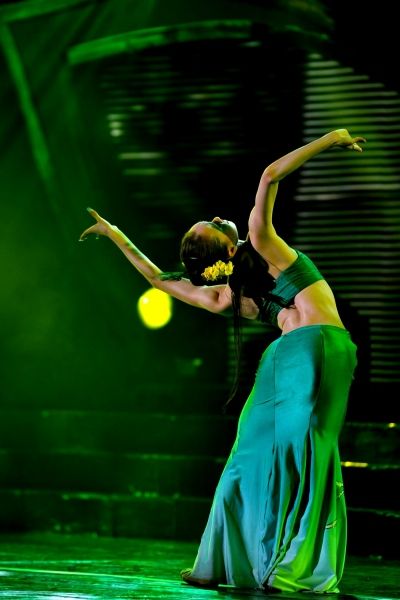 Photos: China Lotus Award Ethnic and Folk Dance Contest 2011 — photo 4 of 7