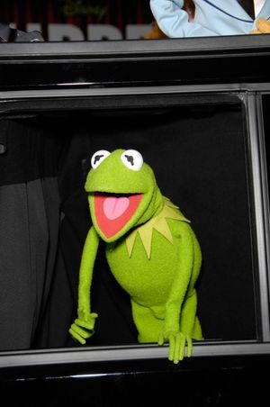 Kermit the Frog Photo