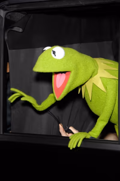 Kermit the Frog Photo