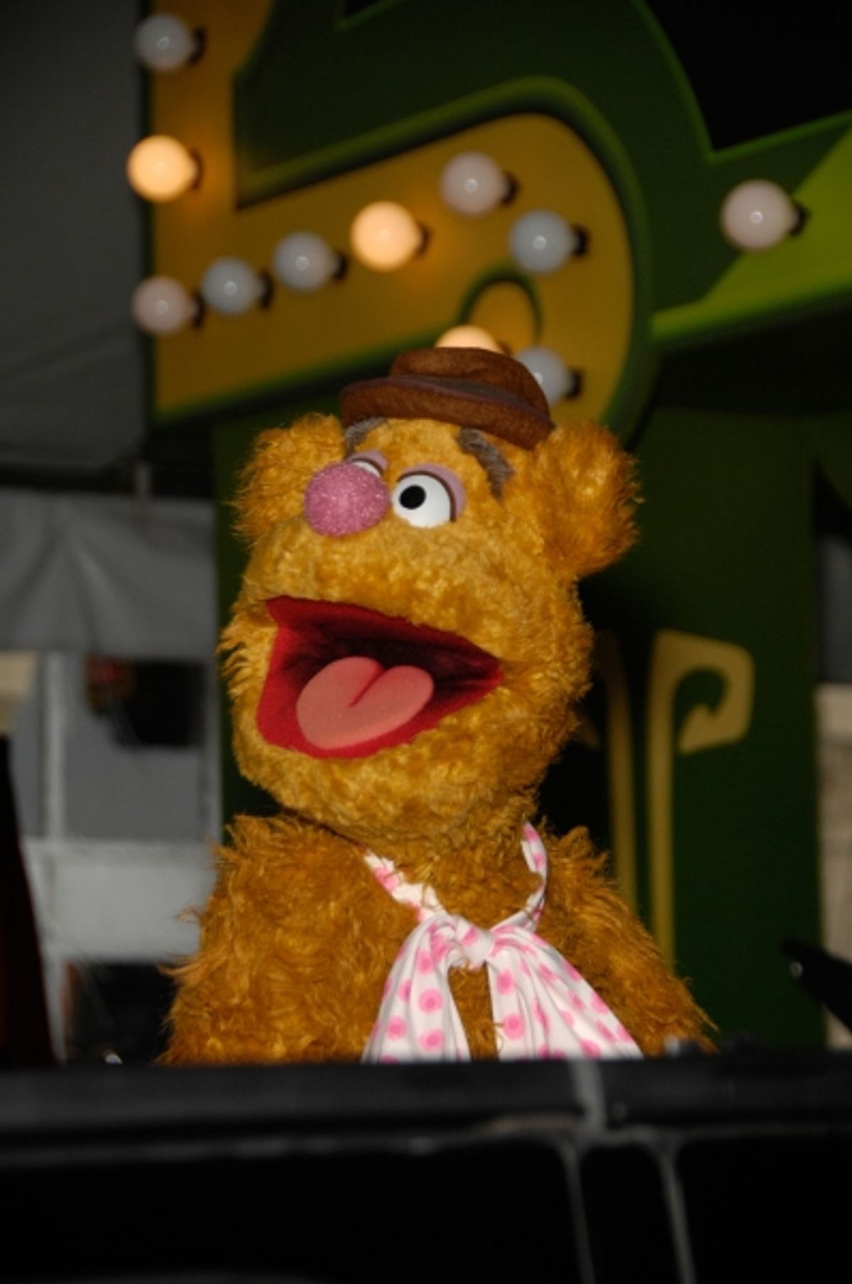 Fozzie Bear at 
