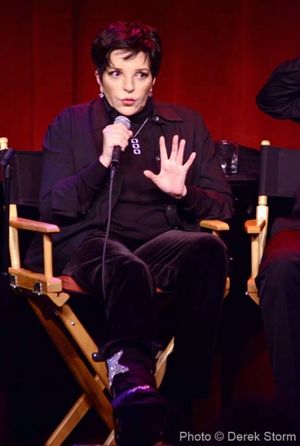 Liza Minnelli @ BroadwayWorld Liza Minnelli Photo