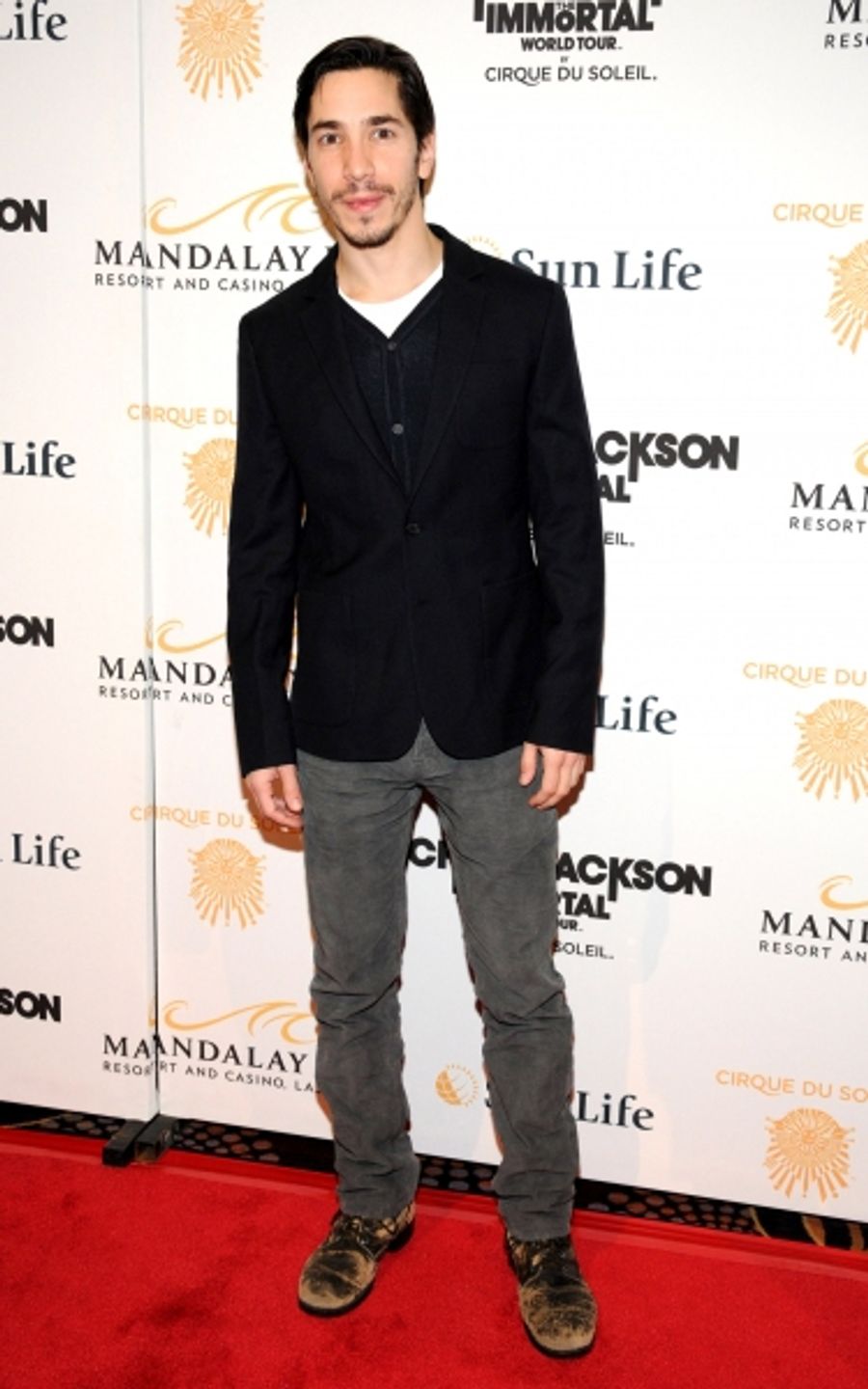 Photo Flash: Michael Jackson THE IMMORTAL World Tour - Red Carpet! Image