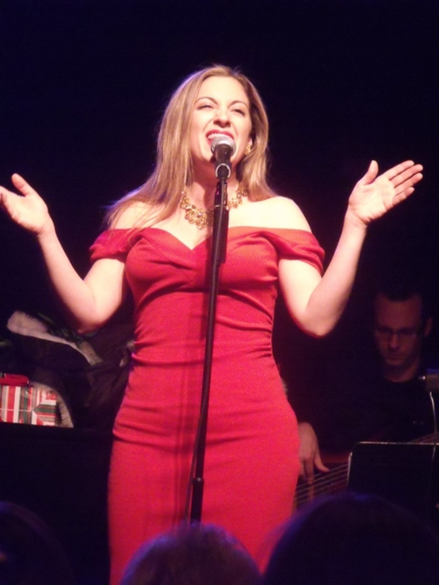 Photo Coverage: Daniel Reichard Brings 'Christmas Present' Concert to the Triad  Image