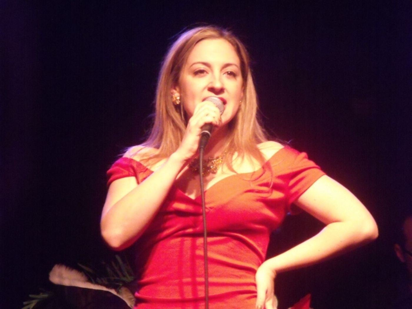 Photo Coverage: Daniel Reichard Brings 'Christmas Present' Concert to the Triad  Image