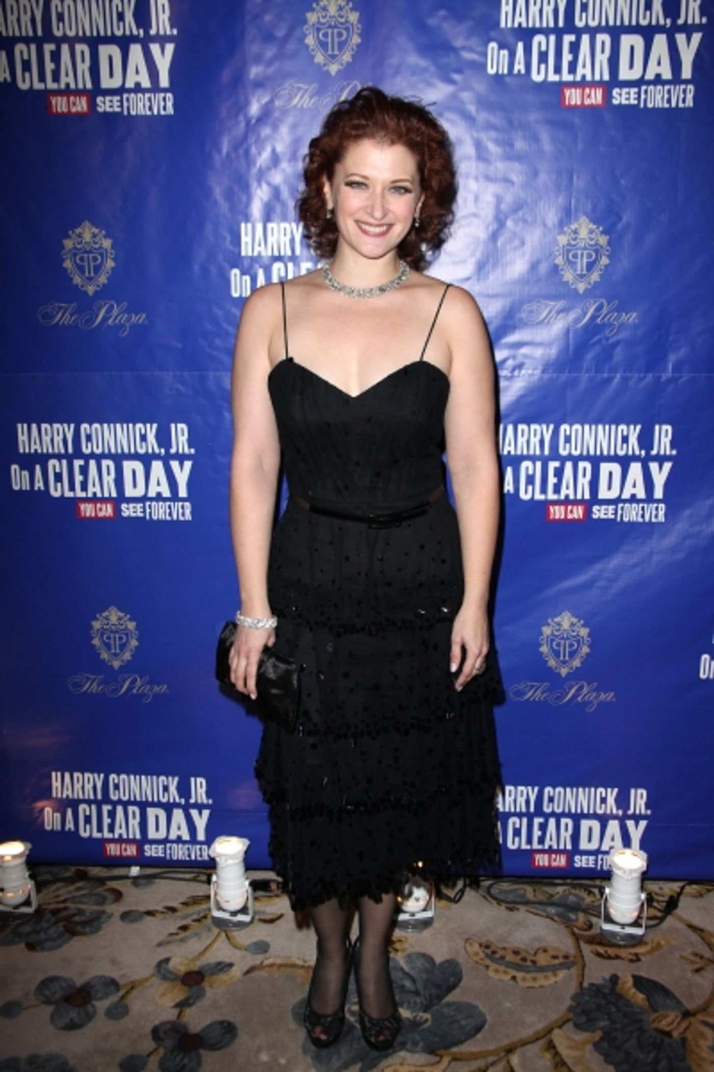 Photo Coverage: Harry Connick Jr., Michael Mayer & More at the ON A CLEAR DAY YOU CAN SEE FOREVER Opening Night Party!  Image