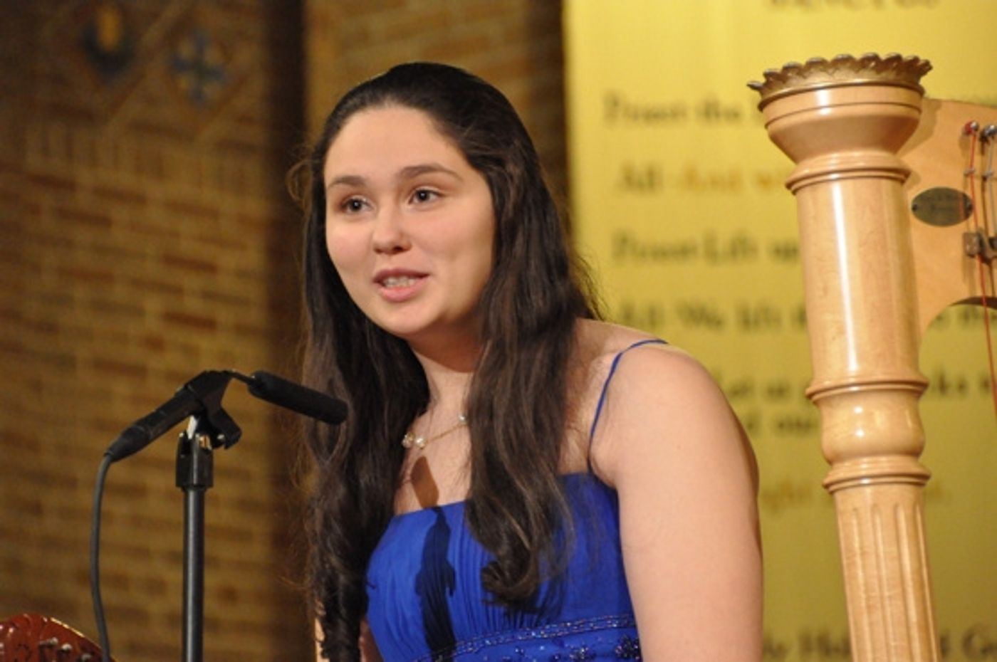 Photo Coverage: Karl Scully Plays Long Island Concert  Image