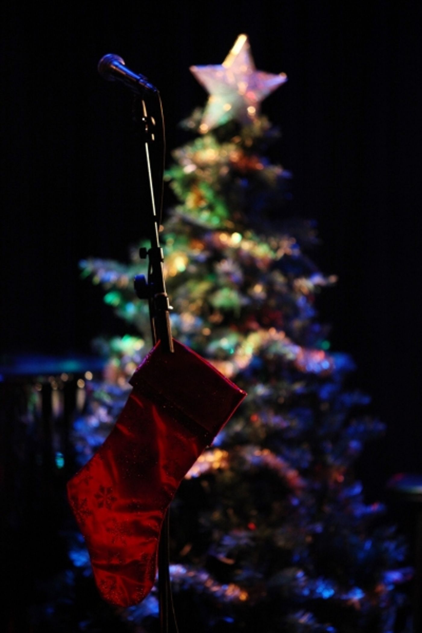 Photo Coverage: Robin de Jesus, Nick Adams & More Play TOYS FOR TOTS Concert  Image