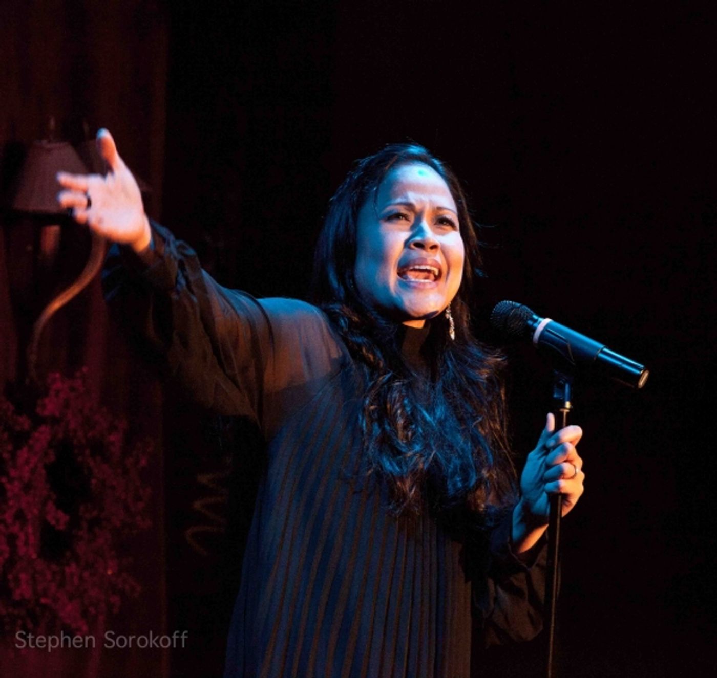 Photo Coverage: Alice Ripley, Steve Ross et al. Play BROADWAY HOOTENANNY a Feinstein's!  Image