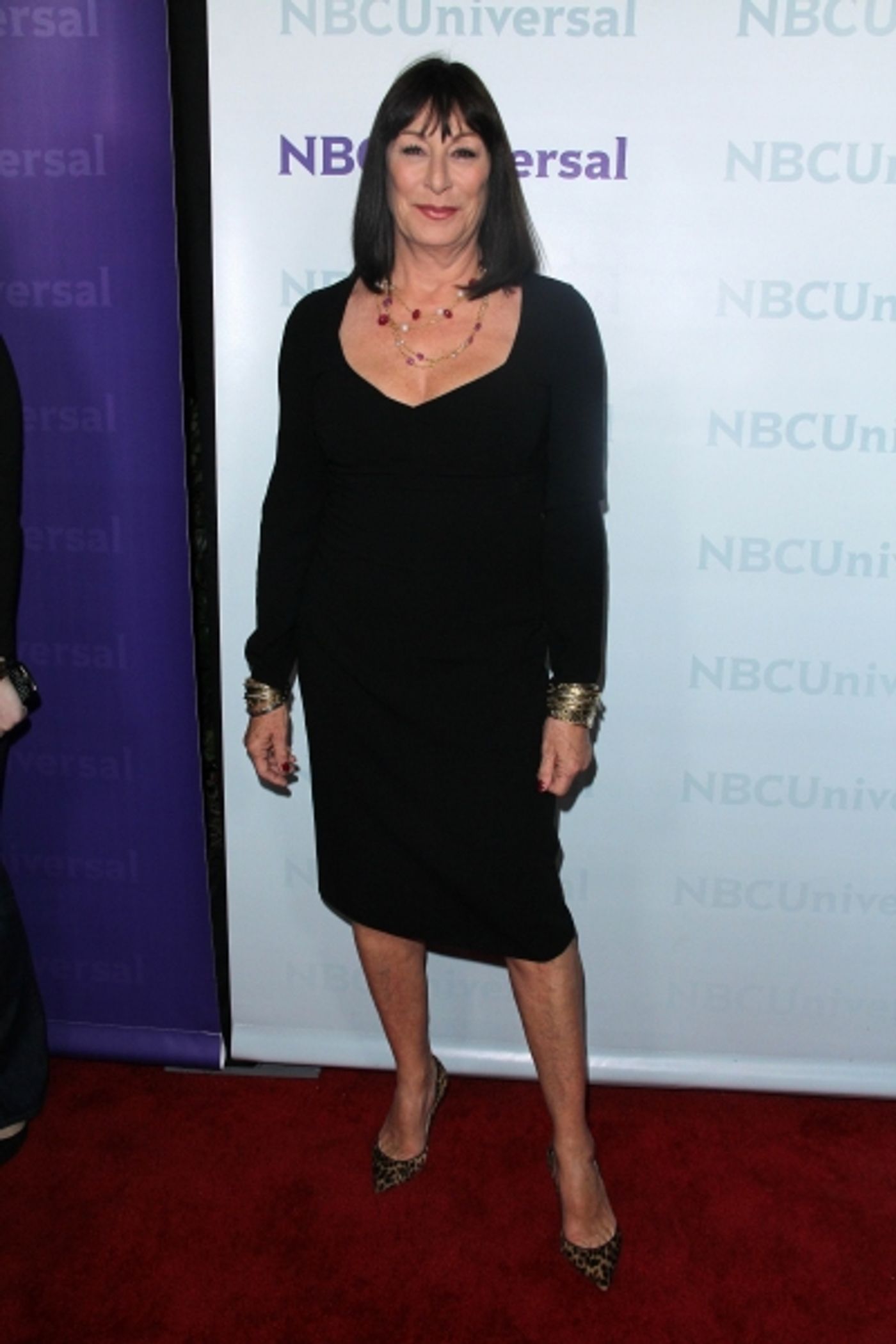 Photo Flash: SMASH on the Red Carpet at NBC's TCA Showcase!  Image