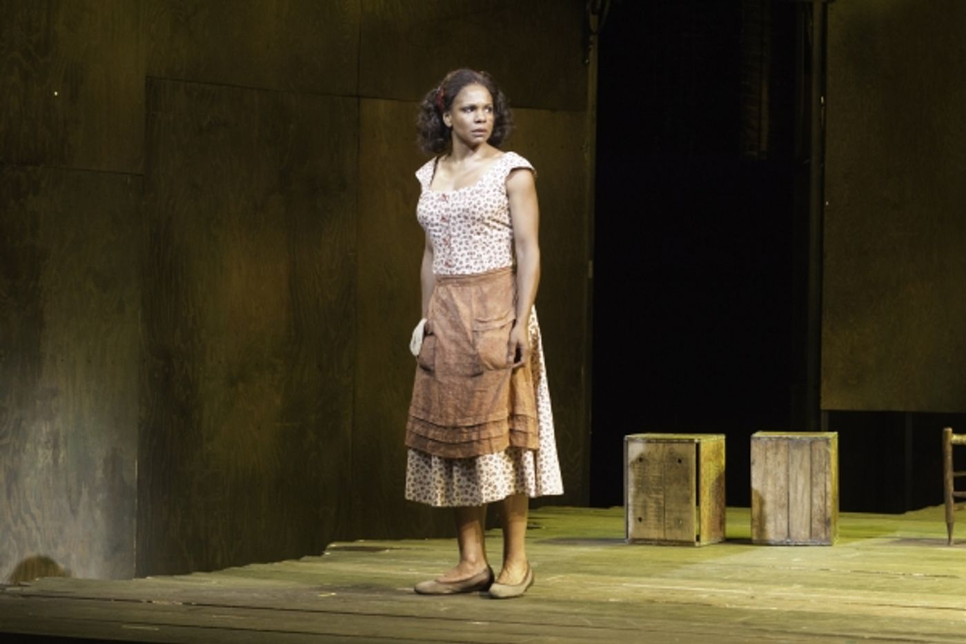 Photo Flash: First Look at PORGY & BESS on Broadway!  Image