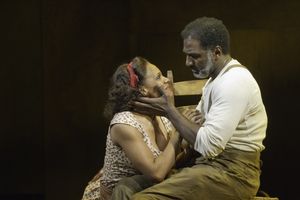 Audra McDonald, Norm Lewis Photo