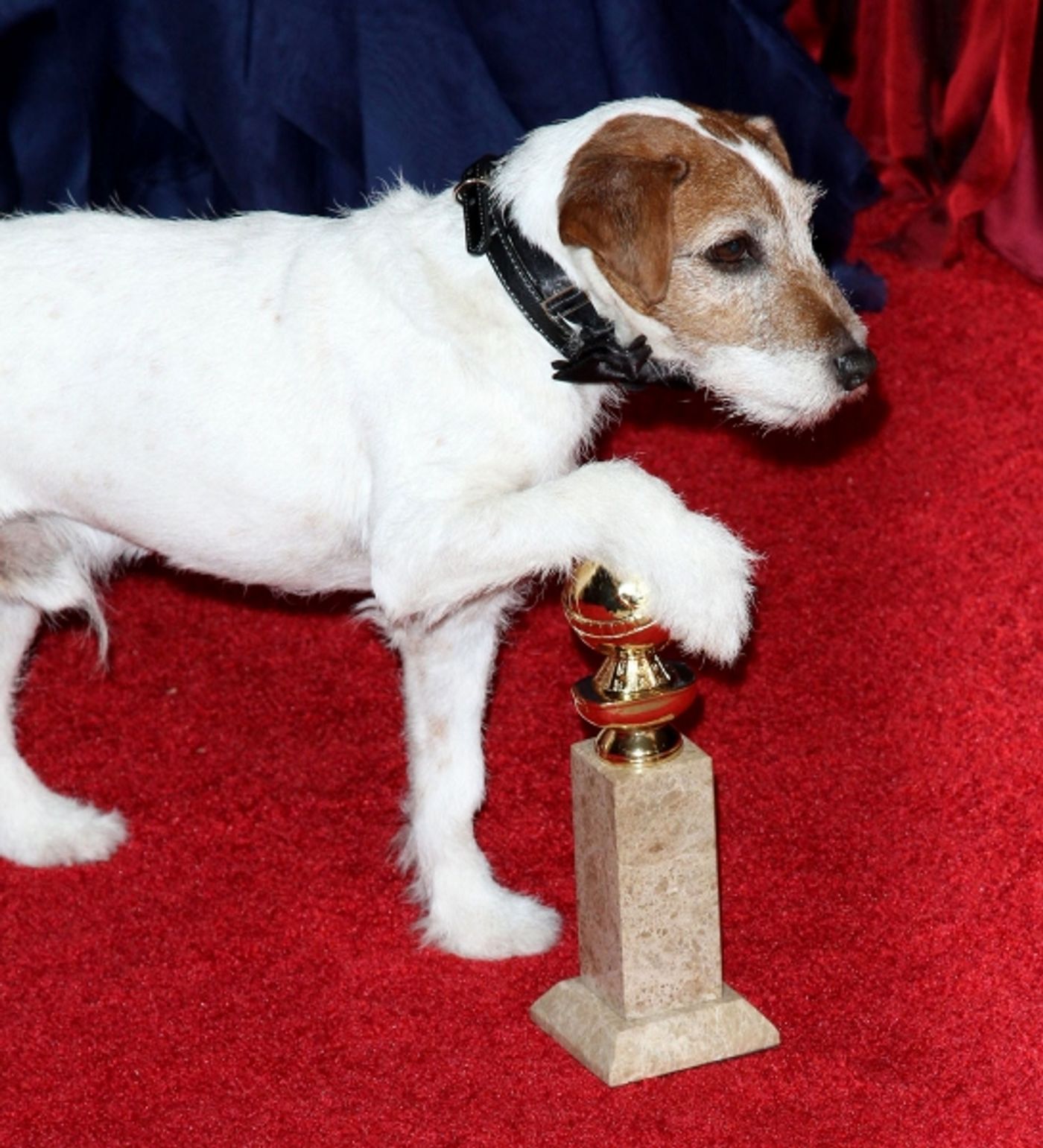 Photo Coverage: 2012 Golden Globe Awards - The Winners!  Image