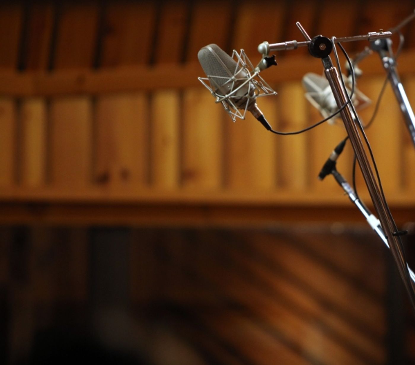 Photo Coverage: ONCE Hits the Studio for Cast Album Recording!  Image