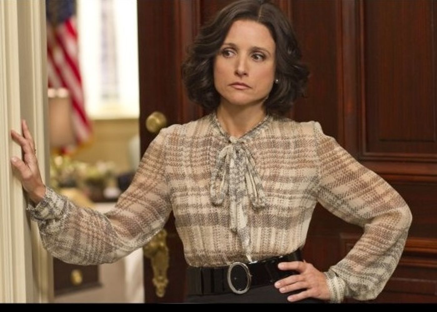 Photo Flash: First Look - Julia Louis-Dreyfus in HBO's VEEP Premieres Tonight!  Image
