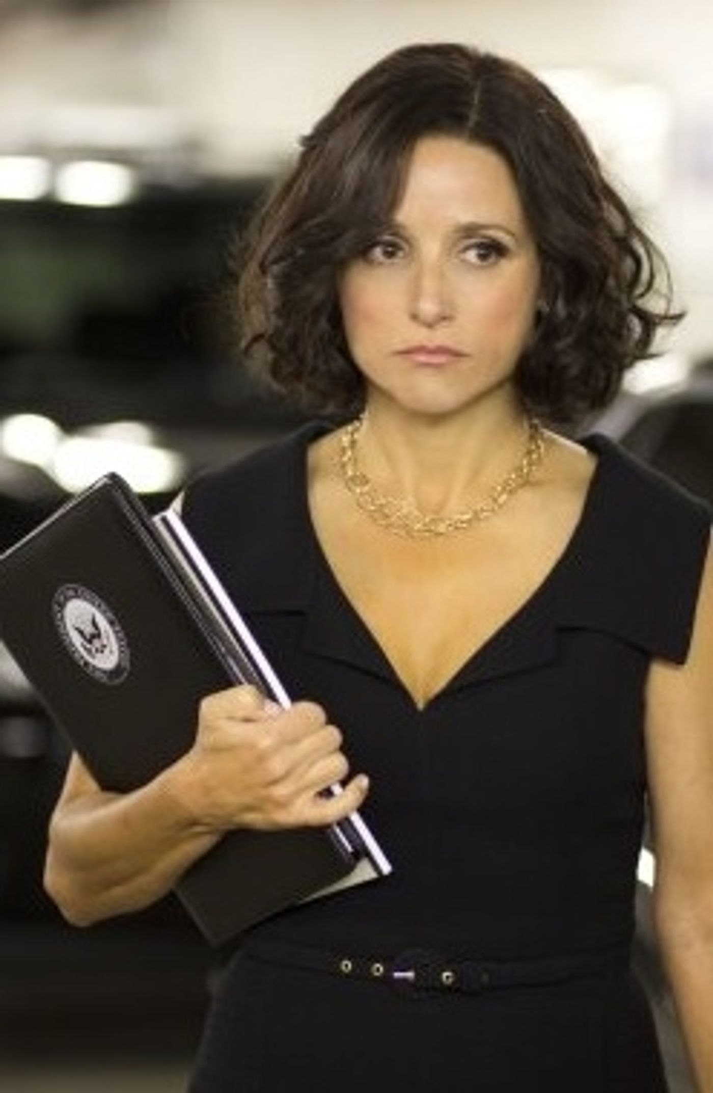 Photo Flash: First Look - Julia Louis-Dreyfus in HBO's VEEP Premieres Tonight!  Image