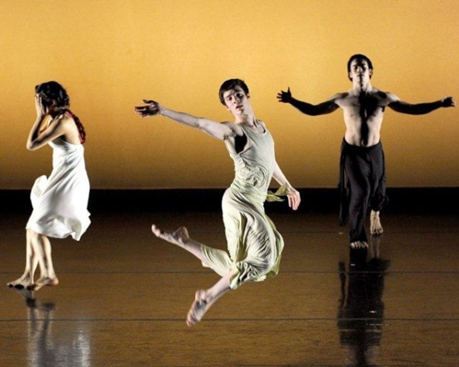 Photo Flash: NYCDAF's Destiny Rising Benefit - Performance Shots! Image