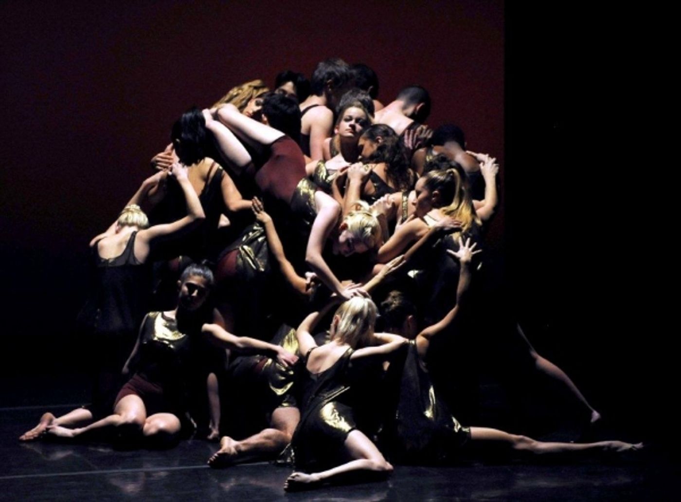 Photo Flash: NYCDAF's Destiny Rising Benefit - Performance Shots!  Image