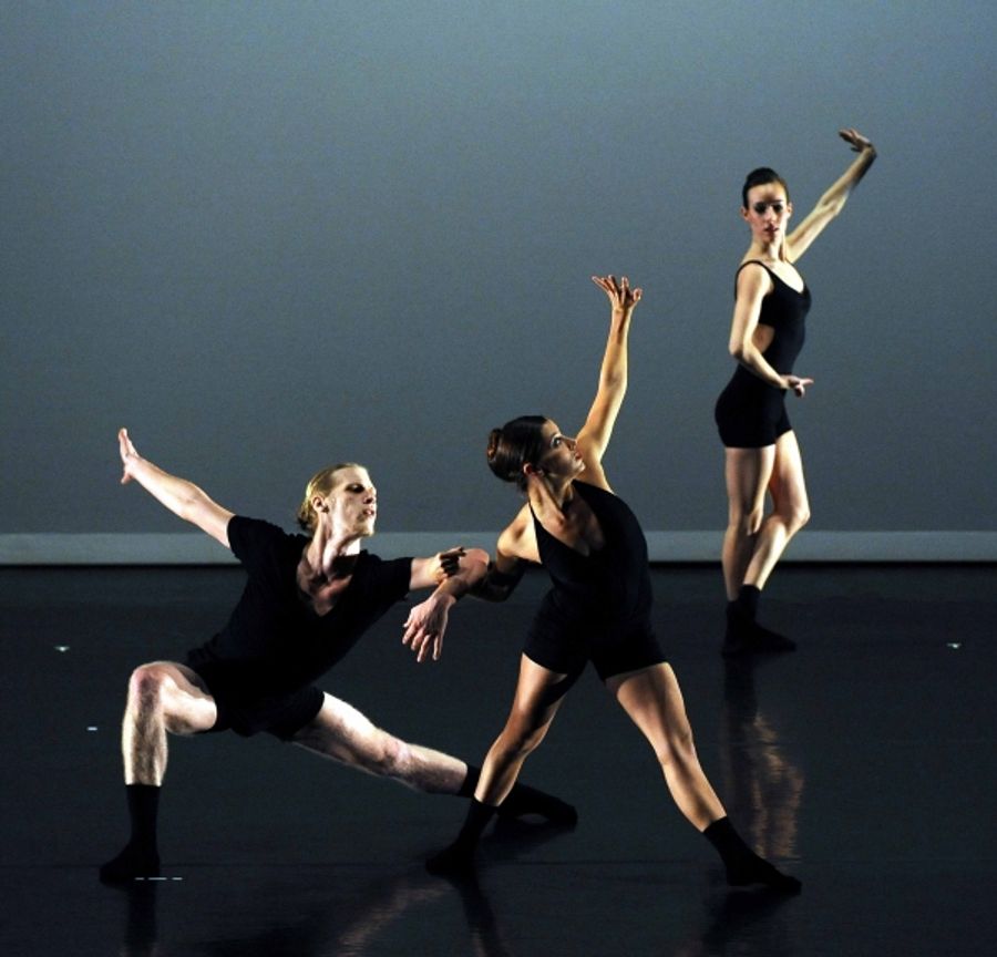 Photo Flash: NYCDAF's Destiny Rising Benefit - Performance Shots! Image