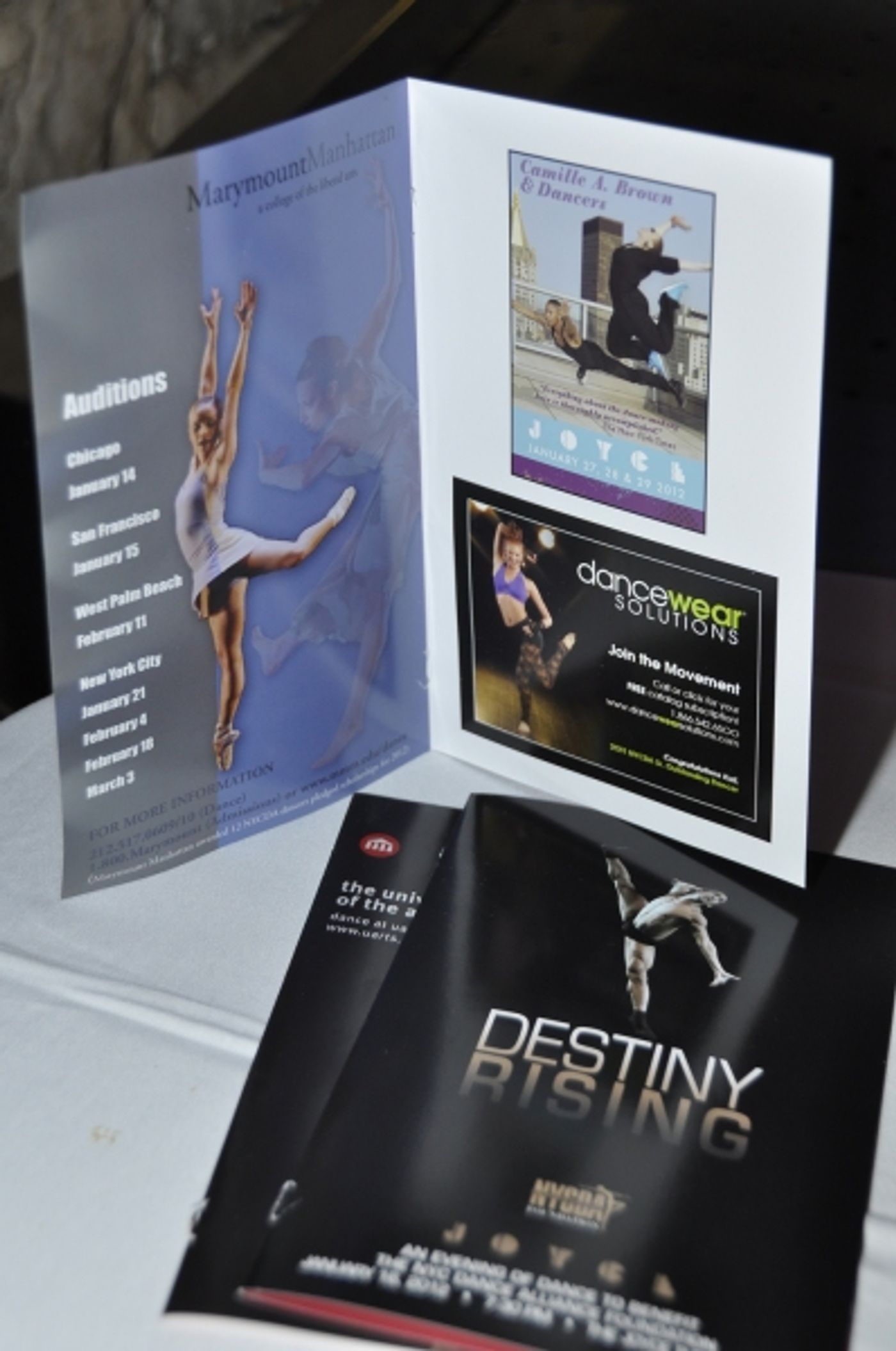 Photo Flash: NYCDAF's Destiny Rising Benefit  Image