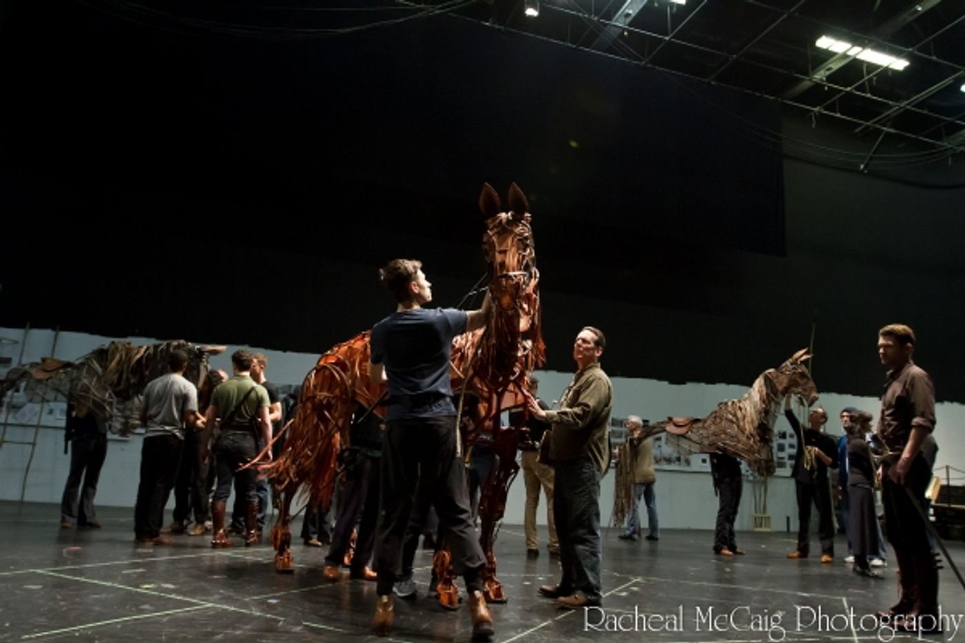 Photo Coverage: Sneak Peek at Toronto's WAR HORSE  Image
