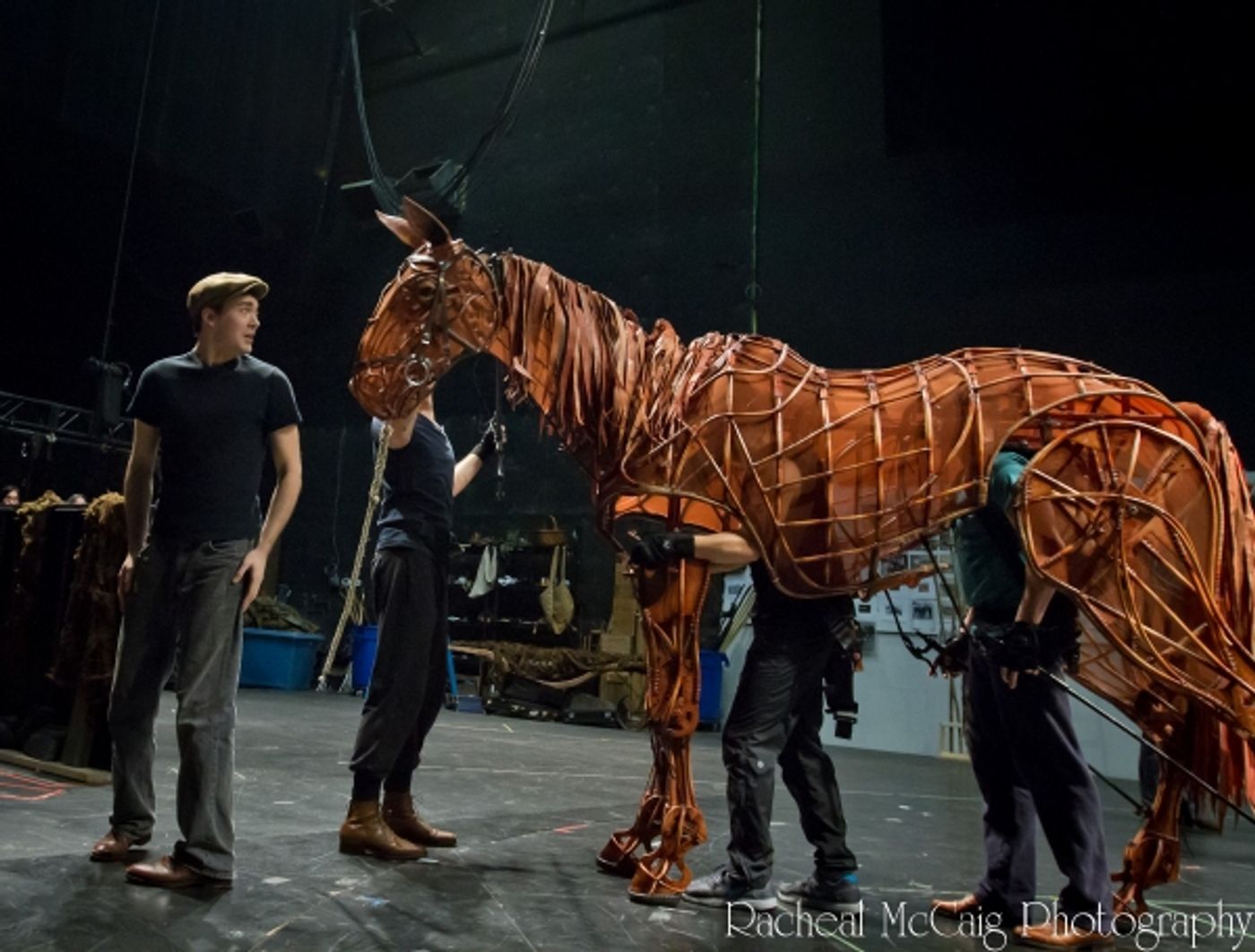Photo Coverage: Sneak Peek at Toronto's WAR HORSE  Image