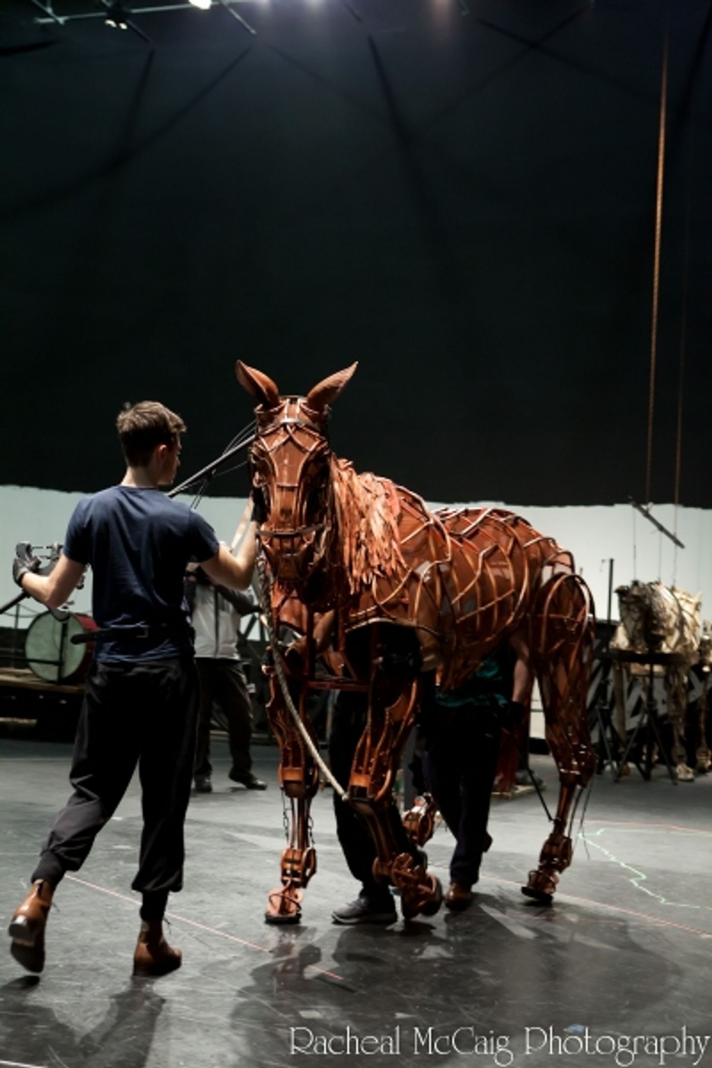 Photo Coverage: Sneak Peek at Toronto's WAR HORSE  Image