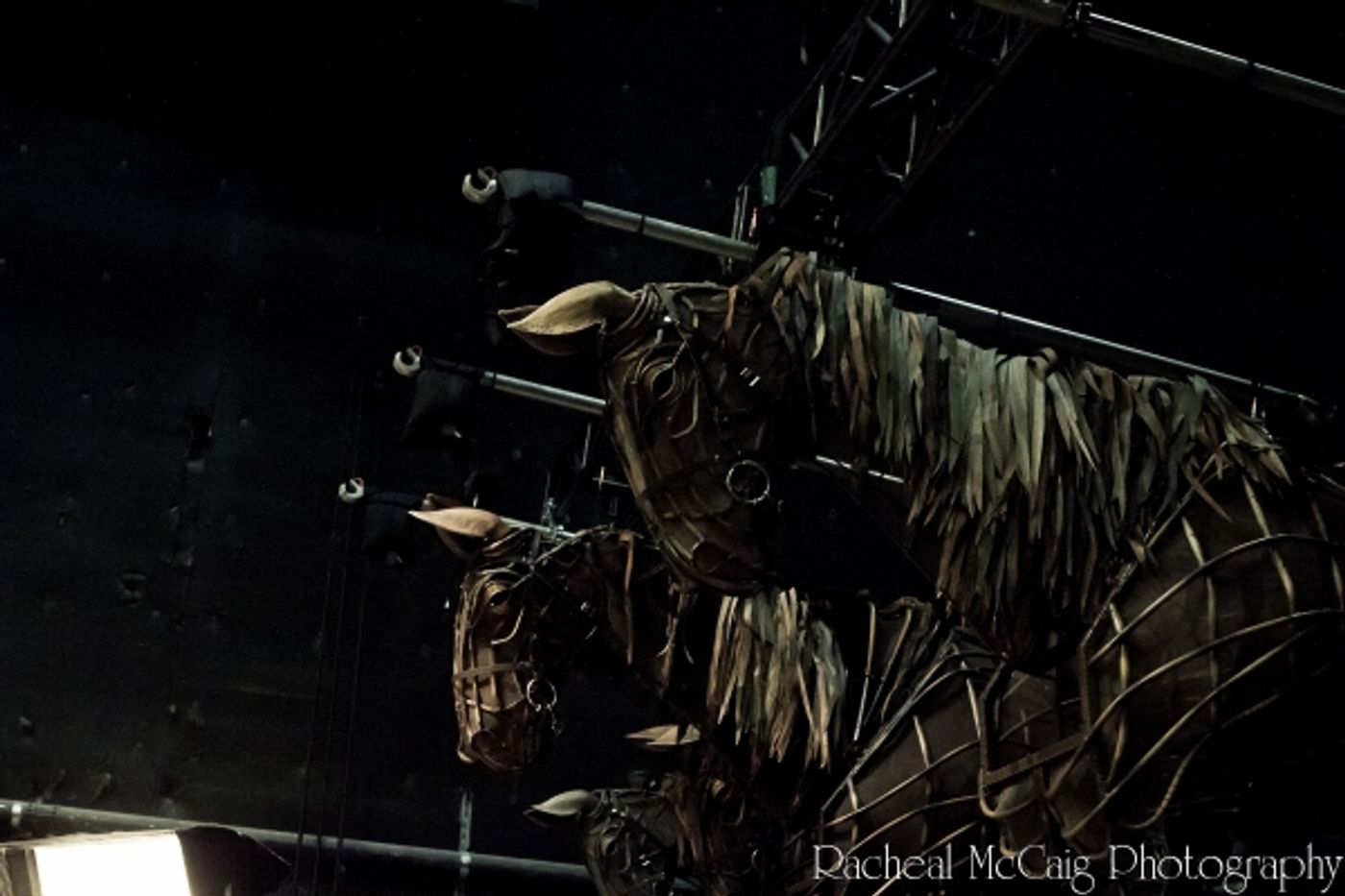 Photo Coverage: Sneak Peek at Toronto's WAR HORSE  Image