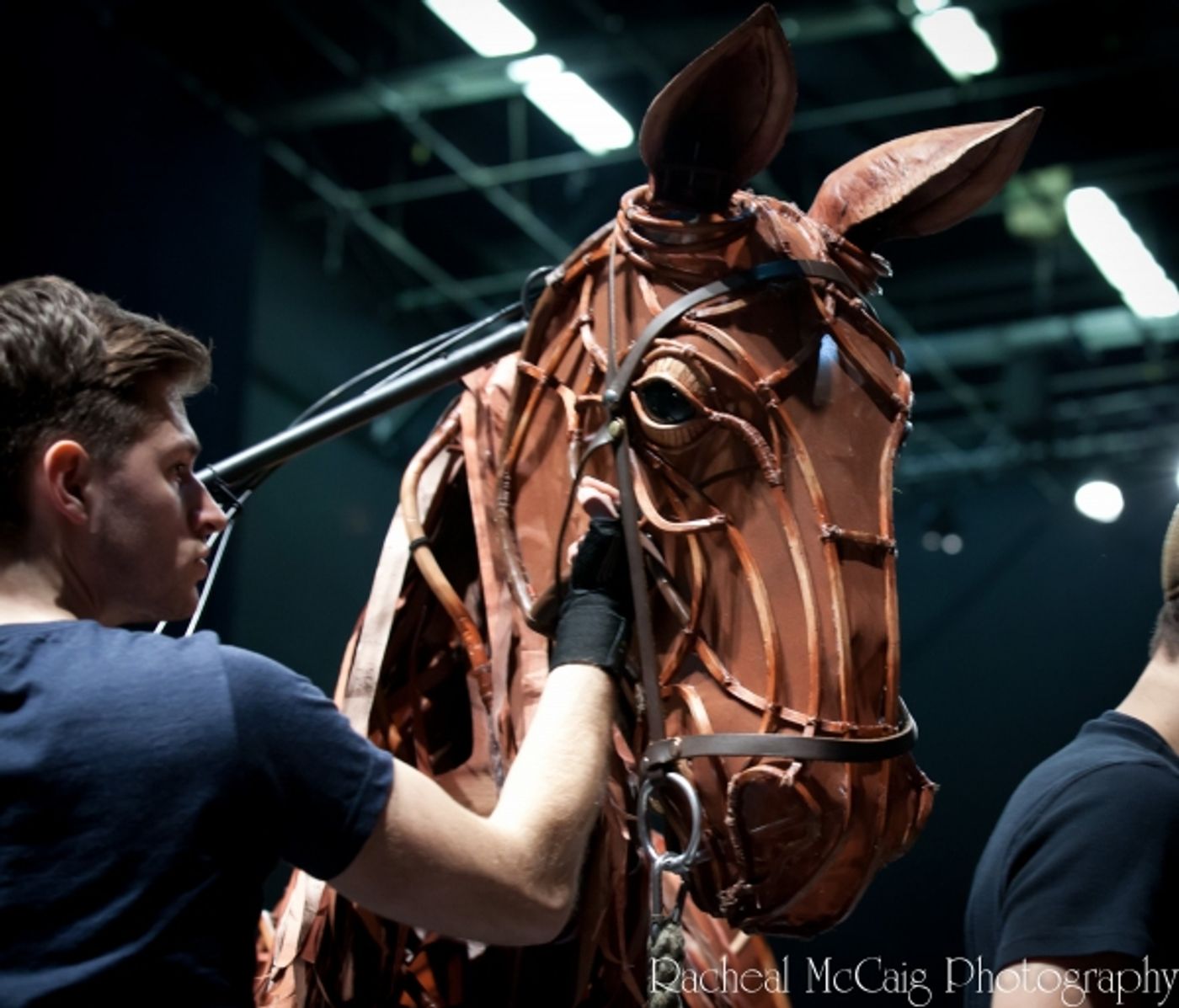 Photo Coverage: Sneak Peek at Toronto's WAR HORSE  Image
