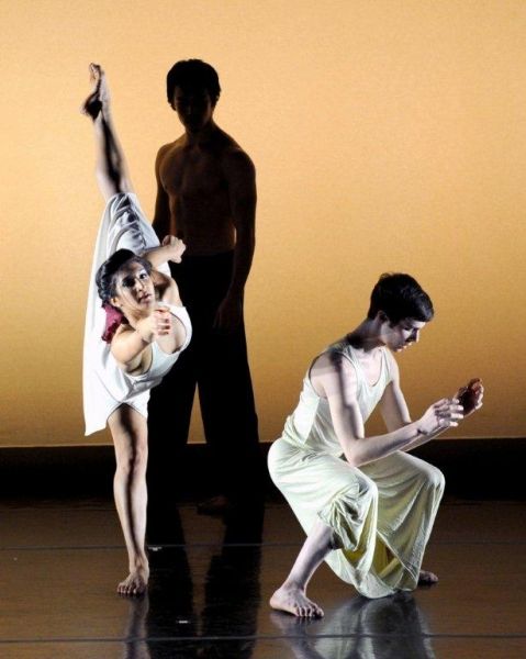 Photo Flash: Evening of Dance Benefits NYCDAF Scholarship Fund  Image