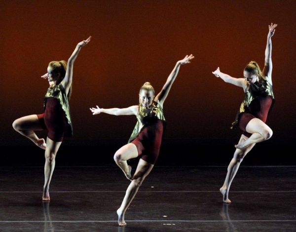 Photo Flash: Evening of Dance Benefits NYCDAF Scholarship Fund  Image