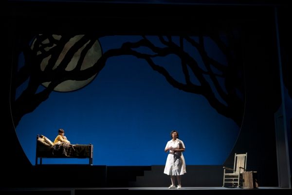 Photo Flash: Syracuse Stage's Caroline, or Change  Image