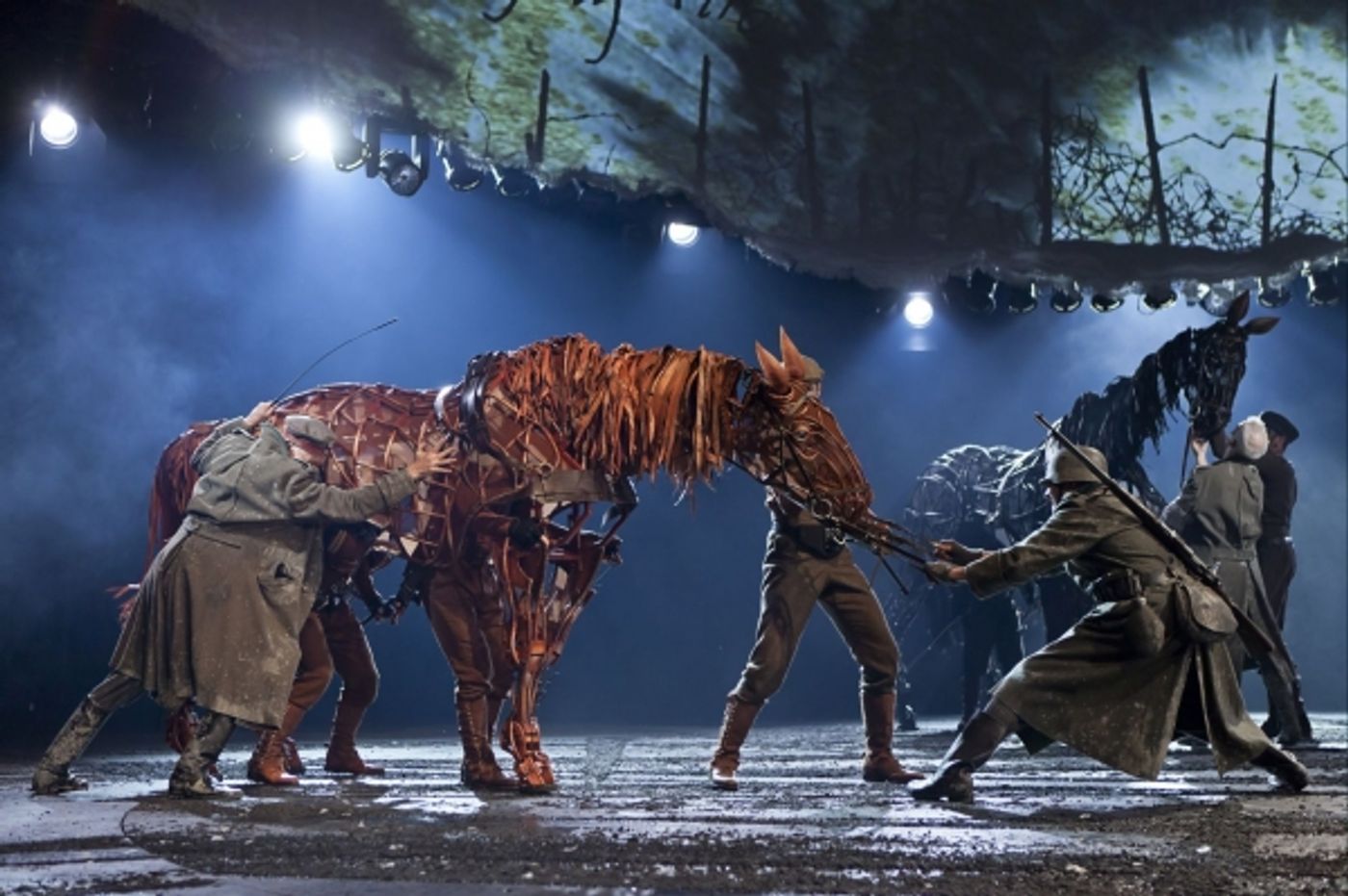 Photo Coverage: First Look at WAR HORSE Canadian Cast  Image