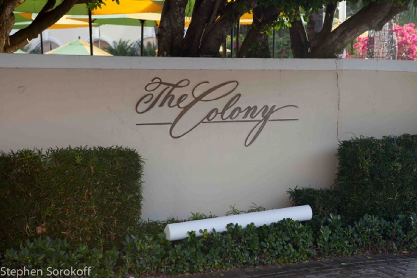 Photo Coverage: KT Sullivan Brings 'Rhyme, Women and Song' to The Colony in Palm Beach  Image